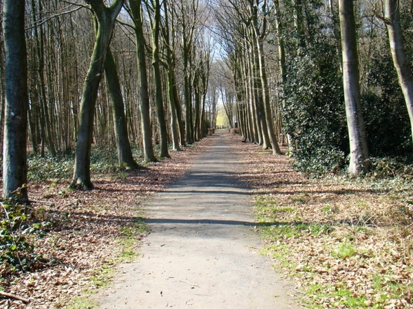STERREBOS 2011 MAART - 1 035