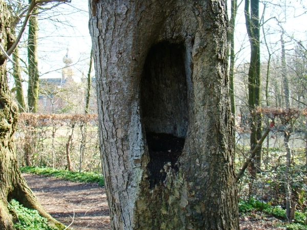 STERREBOS 2011 MAART - 1 041