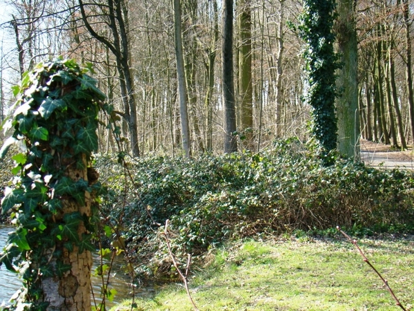 STERREBOS 2011 MAART - 1 049