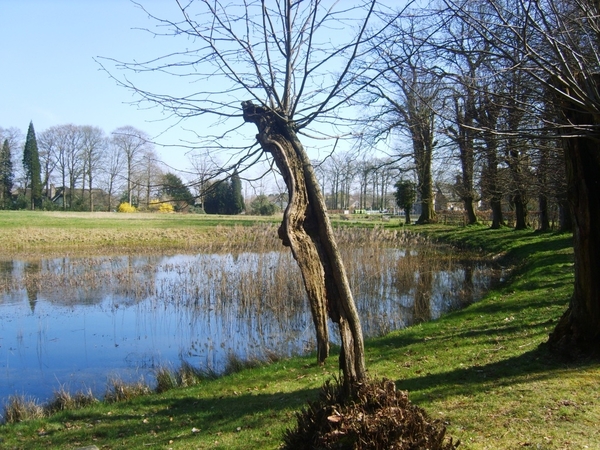 STERREBOS 2011 MAART 028
