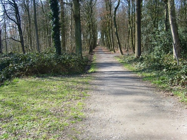 STERREBOS 2011 MAART 031