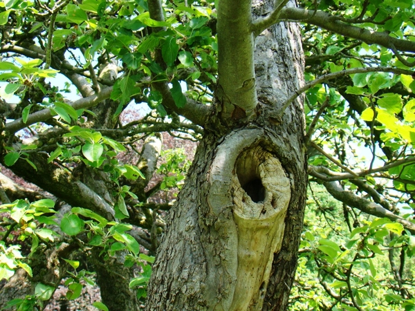 MEI 2011 090