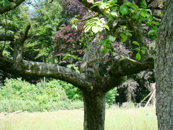 MEI 2011 091