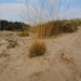 DSCN0415
