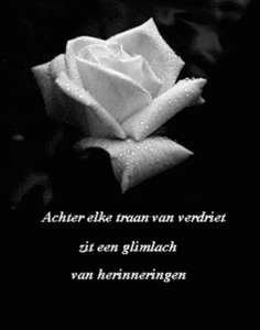 traan glimlach