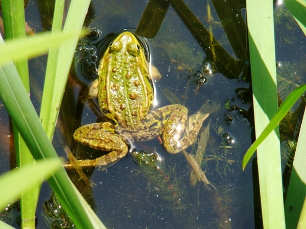 MEI 2011 003