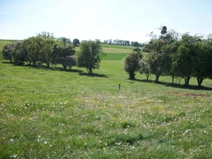 152-Mooie groene landschappen