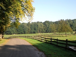 Bosberg 2007 040