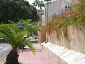 Tenerife 040