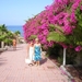 Tenerife 056