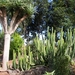 Tenerife 105