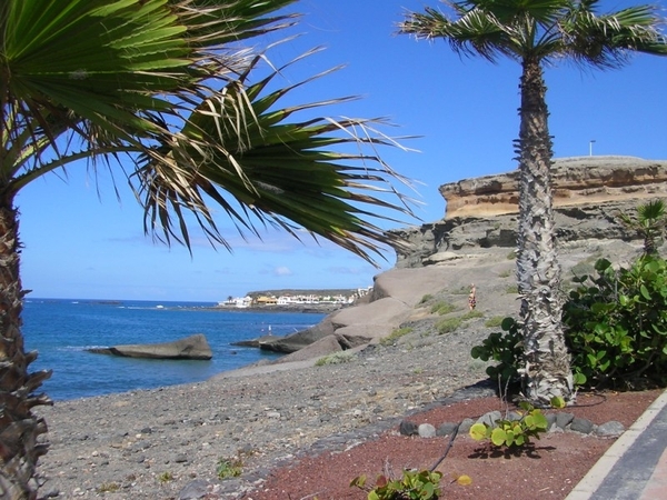 Tenerife 203