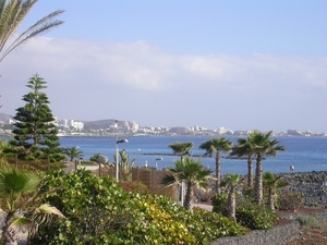 Tenerife 232