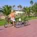 Tenerife 254