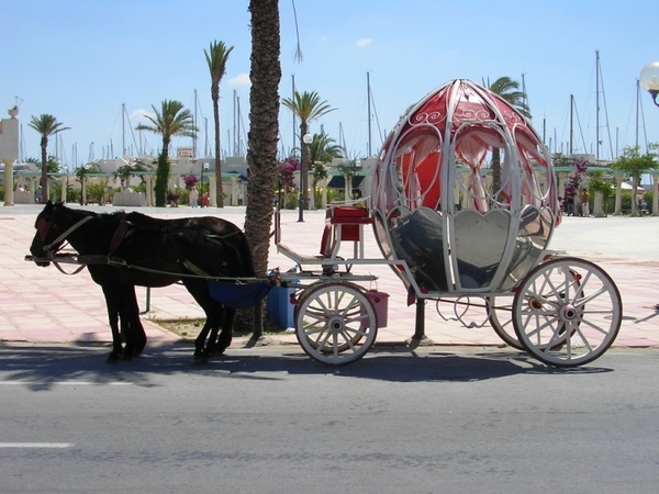 Tunesië 2010 dl.1 176