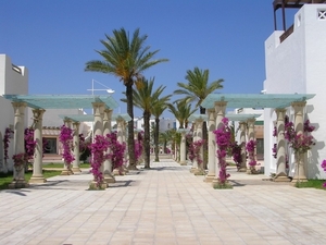 Tunesië 2010 dl.1 187