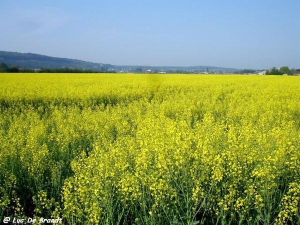 marche Adeps wandeling Gozin Ardennen