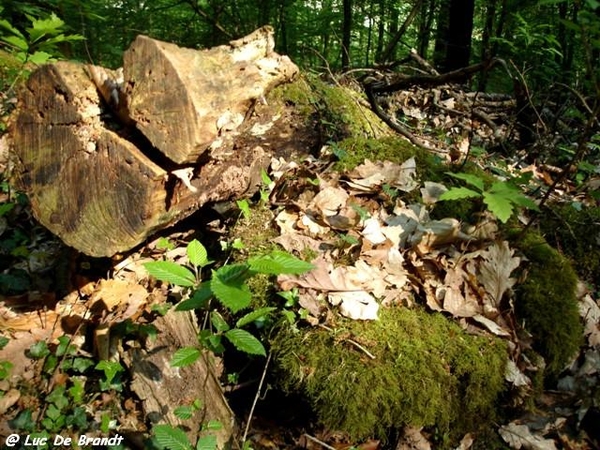 marche Adeps wandeling Gozin Ardennen