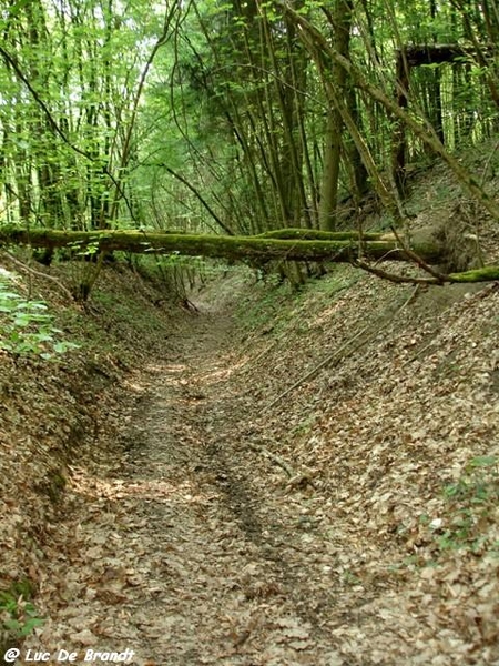 marche Adeps wandeling Gozin Ardennen