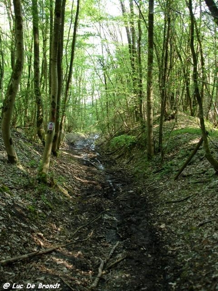 marche Adeps wandeling Gozin Ardennen