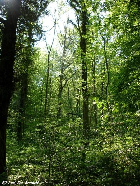 marche Adeps wandeling Gozin Ardennen