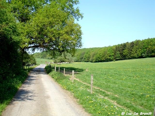 marche Adeps wandeling Gozin Ardennen