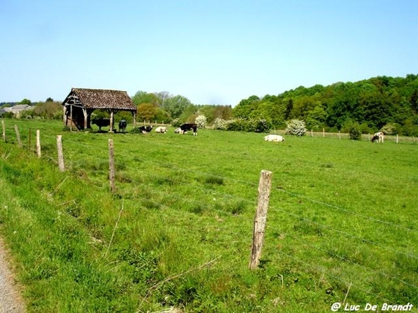 marche Adeps wandeling Gozin Ardennen