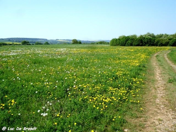 marche Adeps wandeling Gozin Ardennen