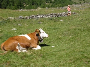 Dorf Tirol 2007 036