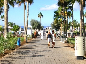 Tenerife 051