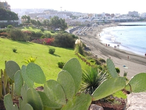 Tenerife 088