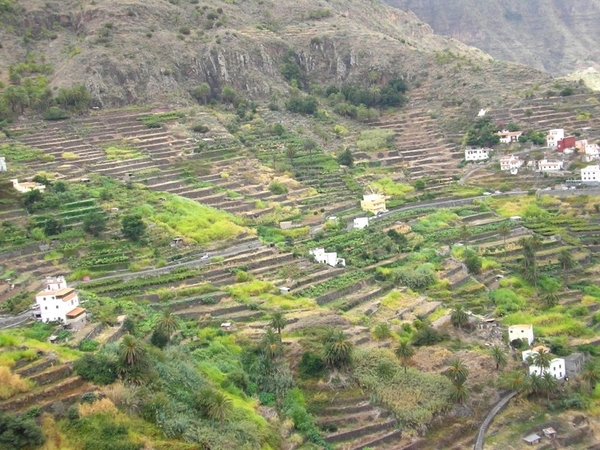 Tenerife 121