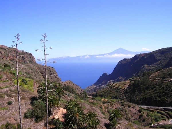Tenerife 143
