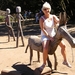 Tenerife 148