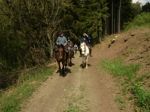 Meitocht 2011 Sd Eifel 018