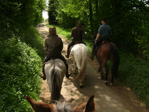 Meitocht 2011 Sd Eifel 032