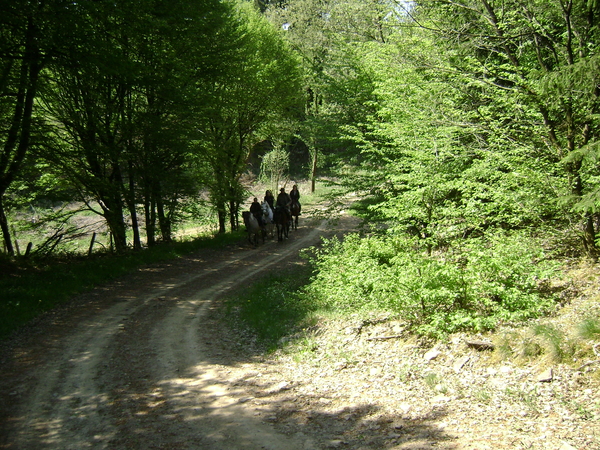 Meitocht 2011 Sd Eifel 081