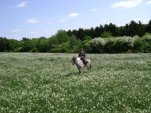 Meitocht 2011 Sd Eifel 085