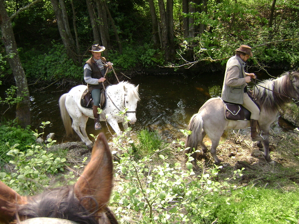 Meitocht 2011 Sd Eifel 095