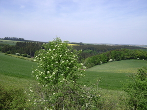 Meitocht 2011 Sd Eifel 098