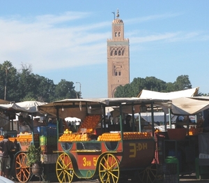 h Marrakechplein 1 (10)