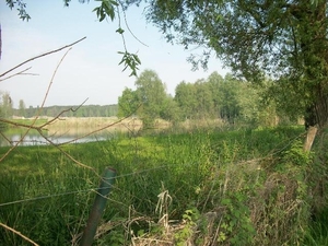 18-Groot en klein bos van Elversele