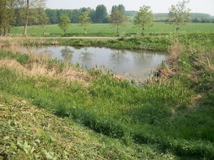 35-