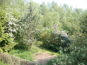 36-Groot en klein bos-Elversele