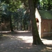 70-Midden in de Waasmunsterse bossen op de heide