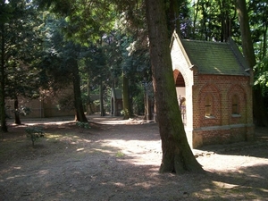 70-Midden in de Waasmunsterse bossen op de heide