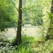 90-Domeinbos-Drie Goten