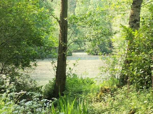 90-Domeinbos-Drie Goten