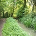 91-Domeinbos-Drie Goten