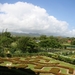 Jamaica - Luc 024